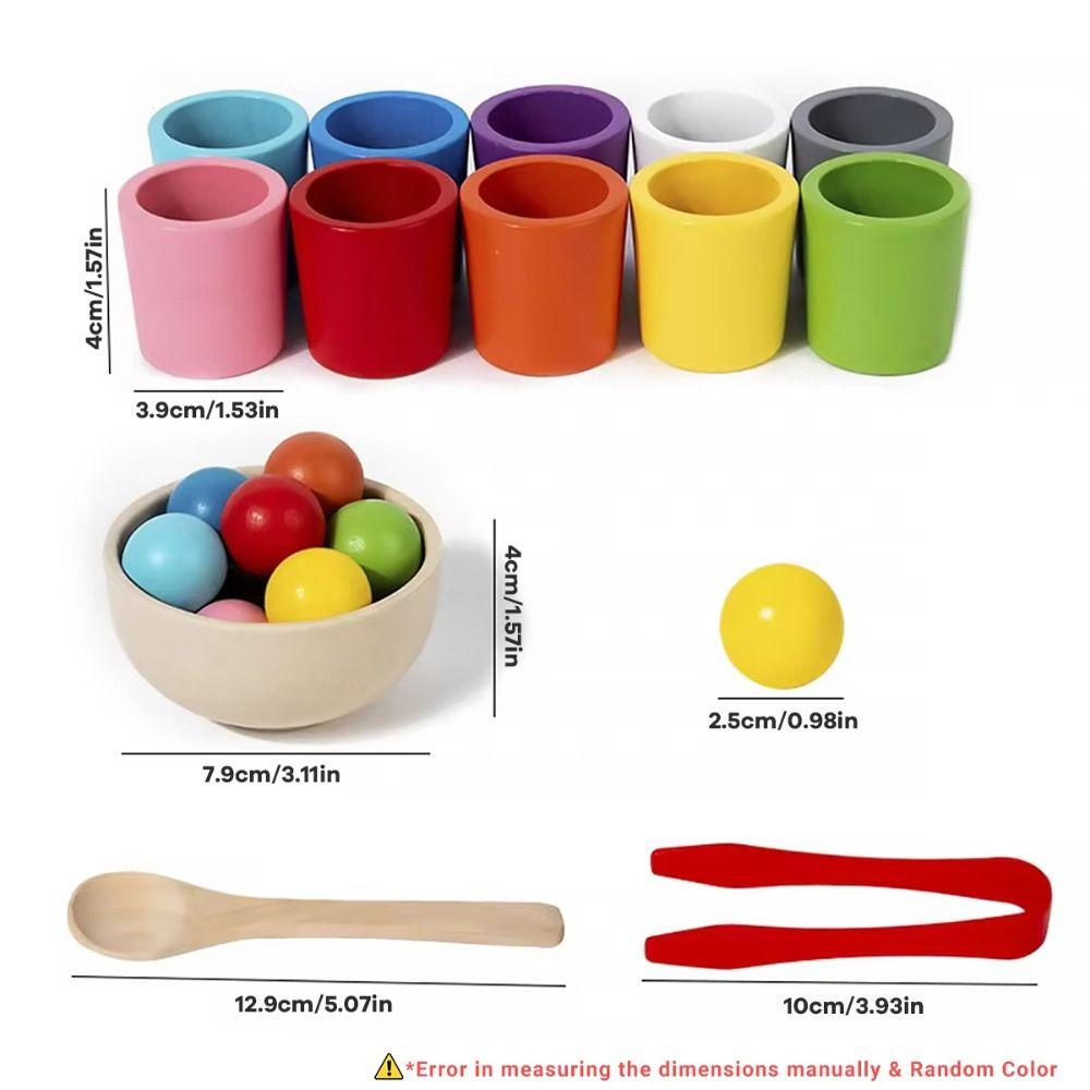 Cognition Games Color Sorter Game Toys 10 Color Sorting Matching Toys  Children Toddler