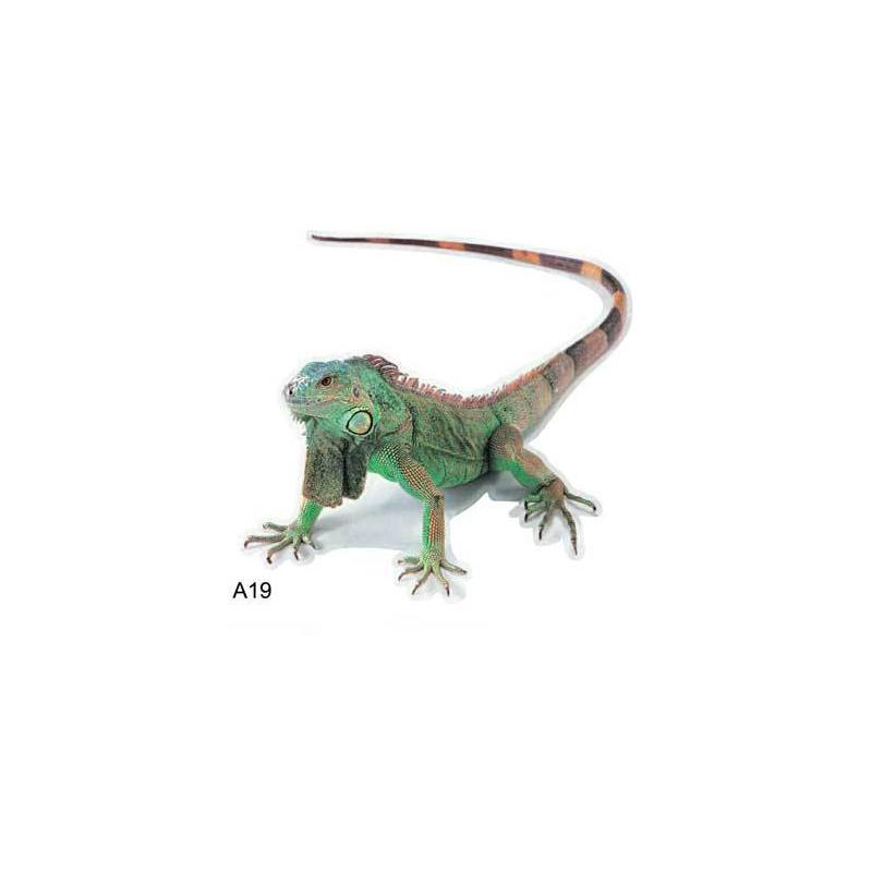 3D Spin Hagedis Schorpioen Autosticker Waterdicht PVC Autostyling Autosticker Autokap Dierenstickers Autodecoratie