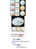 LED Ceiling Light Panel Retrofit Kit - Energy-Saving Round Module for Household Use