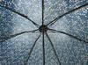 item ladies folding umbrella compact lightweight cute floral pattern blue No-brand