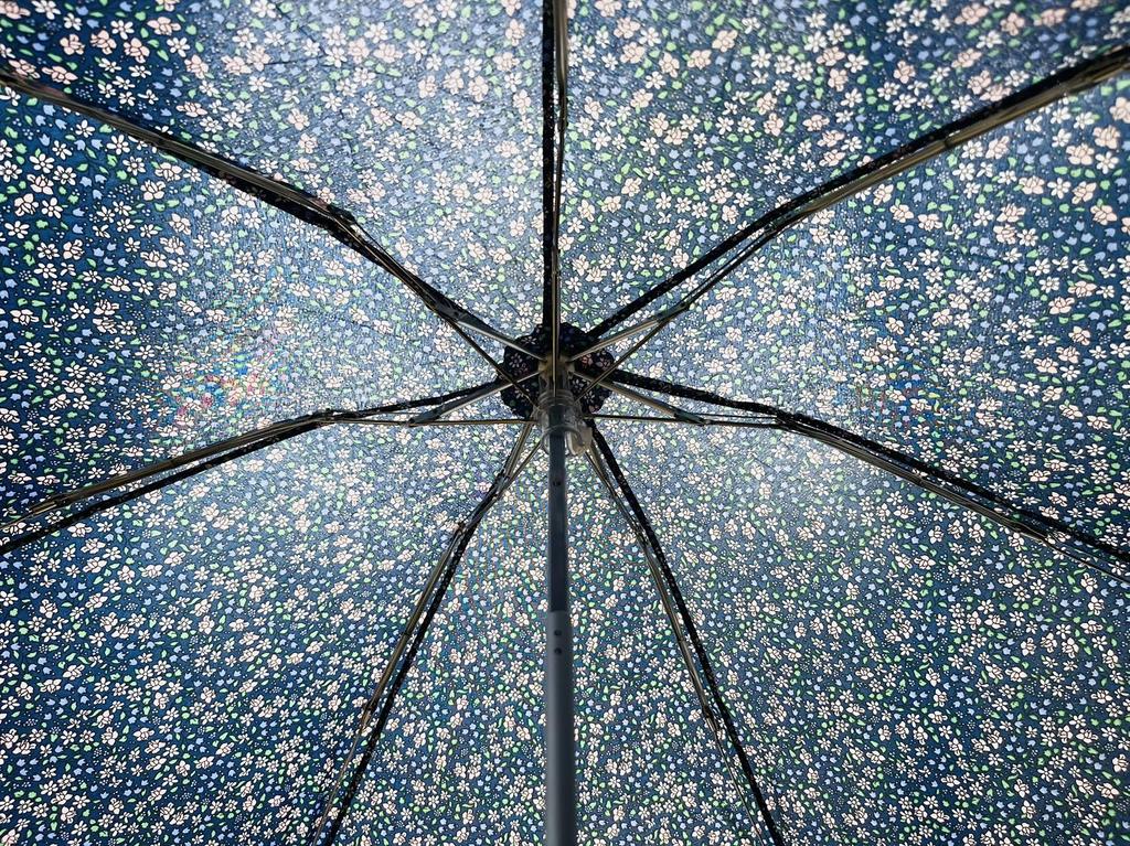 item ladies folding umbrella compact lightweight cute floral pattern blue No-brand