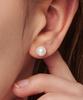 Loveenb [14K Gold] Daily Pearl Earrings