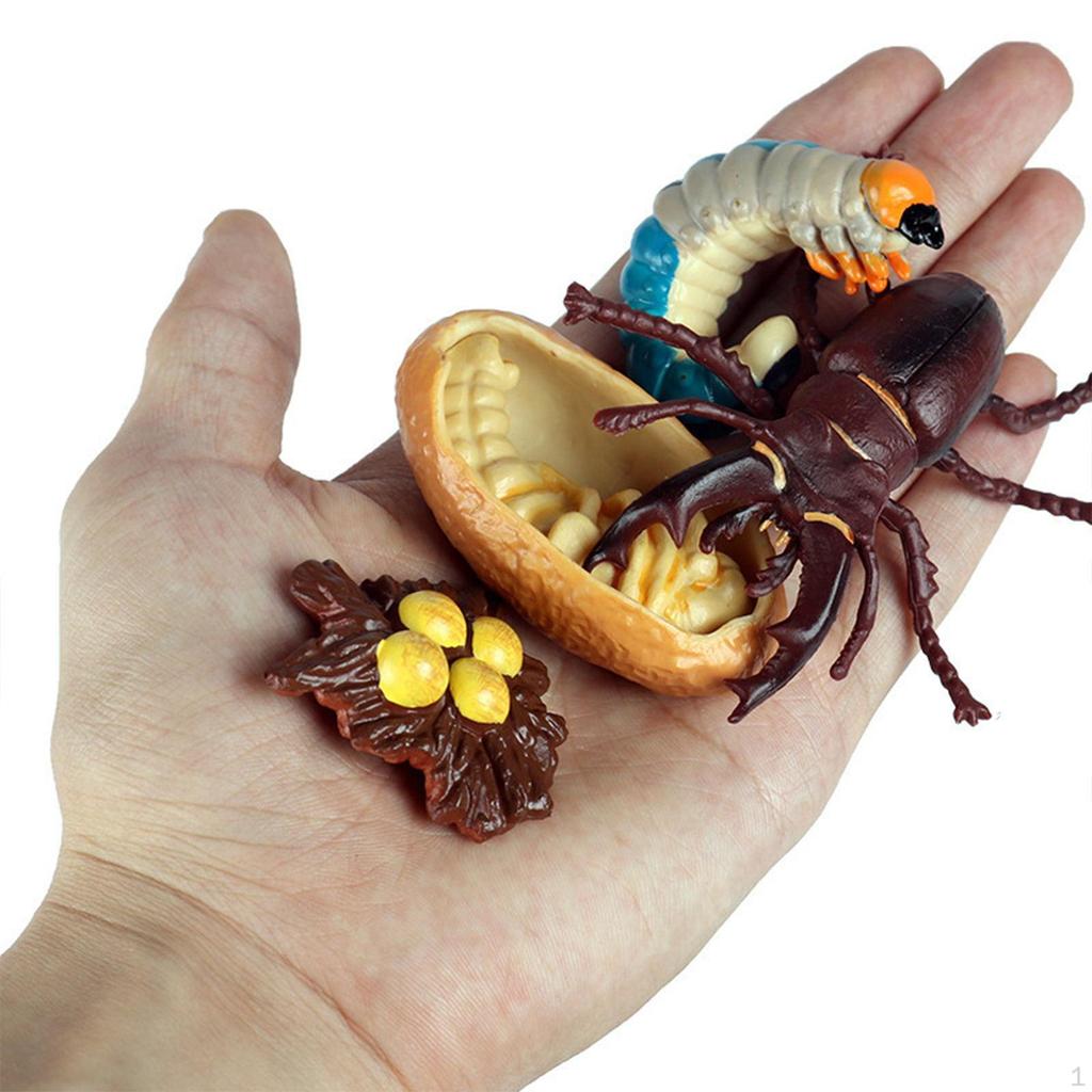 Animal Model Toy Worms Growth Cycle Ornaments Educational Set for Kindergarten Boys Children