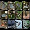 Outdoor Multifunctional Entrenching Tool: Thickened Fishing, Military Shovel for Chopping, Sawing, and Camping