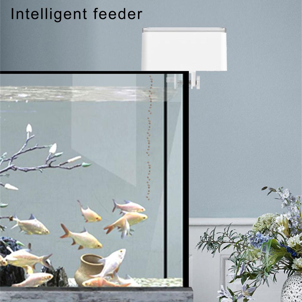 Fishtank Automatic Feeder Timing Automatic Fish Feeder for Aquarium Travel Fish Feeder Automatic Dispenser