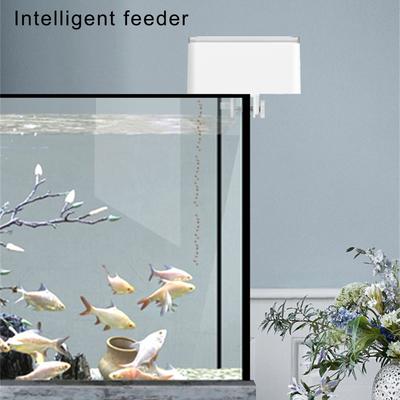 Fische & Meerestiere – Aquarienpflege