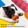 Squeaky Dog Chew Toy for Aggressive Chewers Rubber Tough Carrot Dog Toy for Teeth Cleaning Interactive Puppy Toy for Large Medium Small Breeds