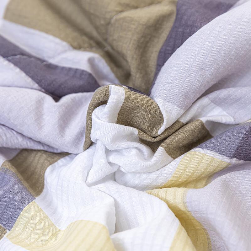 FIRS Washable Thin Quilt