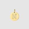 CARLIDANA Classique Minimaliste Alphabet 26 Breloques Lettres en Cristal Collier Pendentif Rond Lettre Acier Inoxydable Collier DIY