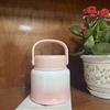 Portable Stainless Steel Thermal Food Jar