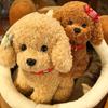 Puppy Dolls Plush Dog Toy Realistic Stuffed Poodle Doll Creative Simulation Dog Plush  Boys Girls