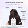 Lux Sandalwood Camellia Fragrance Shampoo & Conditioner Set