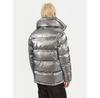 Куртка зимняя Blauer 24WBLDC02250 Серебристый