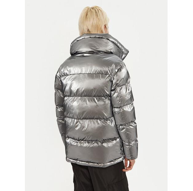 Куртка зимняя Blauer 24WBLDC02250 Серебристый