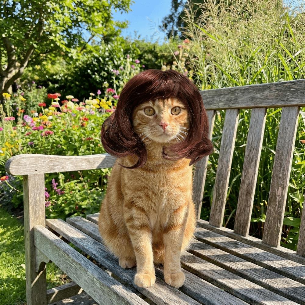 Adjustable Cat Short Curly Hair Lightweight Pet Costume Wigs Pet Wigs Photography Props