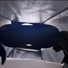 3D spící oční maska pro muže a ženy – Ochrana očí, Roztomilá, Uvolňující únavu