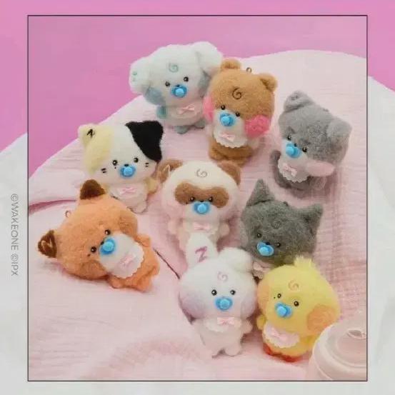 

Малыш Гуннини Продажа Zerobaseone Zerobaseone Геон-ук Зеро