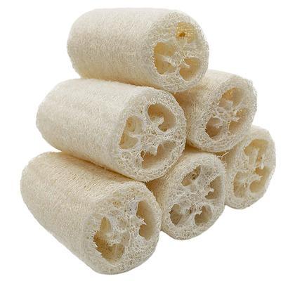 Duş ve banyo ürünleri – Süngerler & Vücut Bakımı İçin Fırçalar