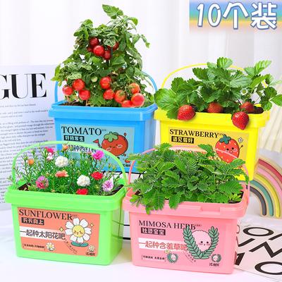 Děti pěstují malé hrnkové ovoce jahody baby mini rostlinky klíčky farma růst pozorovací box vědecká praxe