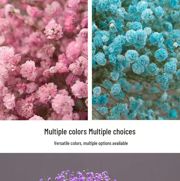 Baby's Breath Dried Flower Bouquet - Real Decorative Flowers for Living Room and Gift Packaging