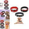 Pet Collar Made Of Pp Polypropylene Breathable And Comfortable Suitable For All Seasons