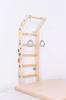 Gymnastic ladder Mini Color