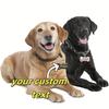 Personalized Dog ID Tag Custom Engraved Bone Nameplate Stainless Steel Pet Collar Accessories Anti-lost Pendant for Puppy Cat