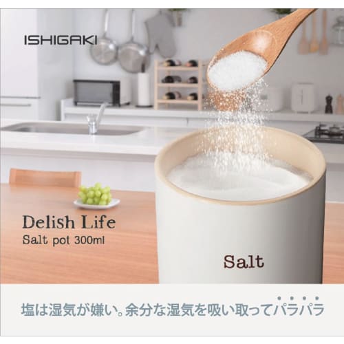 Ishigaki Salztiegel, Weiß, 300ml, mit Dichtung, Feuchtigkeitsabsorbierend, Hält Gewürze trocken, 9,5cm Durchmesser x 9cm Höhe, DL 4350
