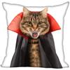Bedroom Home Office Decor Pillowcase Square  Funny Cat Animal