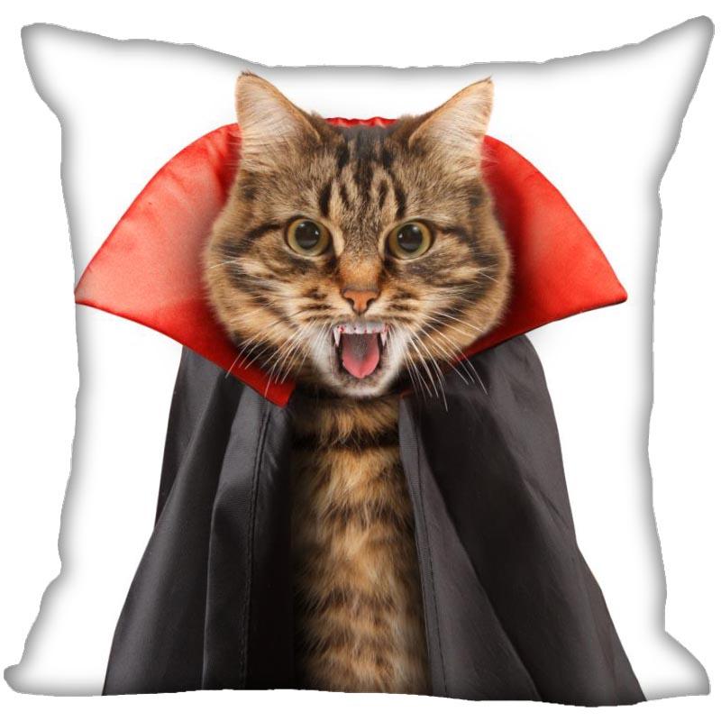 Bedroom Home Office Decor Pillowcase Square  Funny Cat Animal