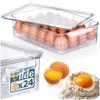 Egg container with lid for 24 eggs