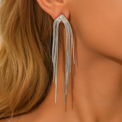 New Temperament Tassel Long Earrings, Fashionable and Exquisite, Internet Famous Earrings, Simple and Personalized Accessories