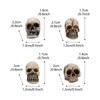 20pcs Halloween Decorative Skeleton Head Miniature Ornaments Outdoor Home Garden Lawn Unique Flower Pot Decorative Skull Statue
