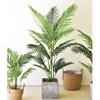 Popular Indoor Areca Palm Potted Plant - Large Green Decoration for Living Room