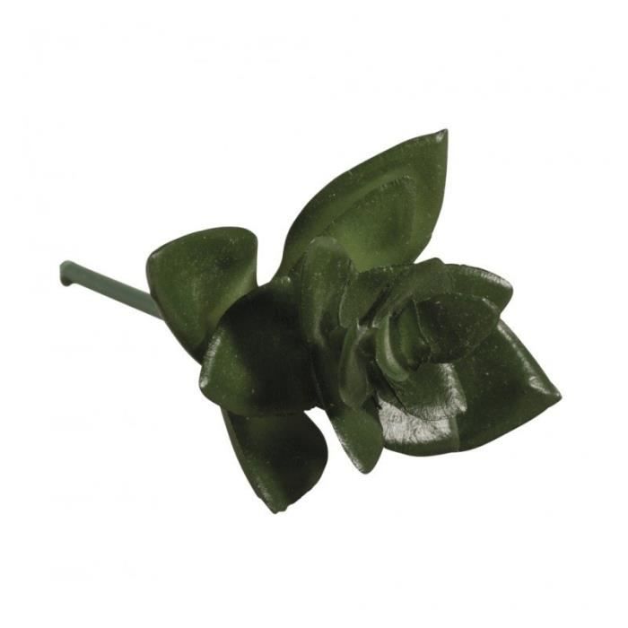 Plante artificielle - Rayher - Haworthia - Vert - Adulte - Mini jardin
