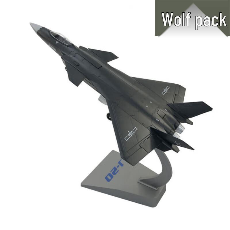 J-20 Fighter Jet Model