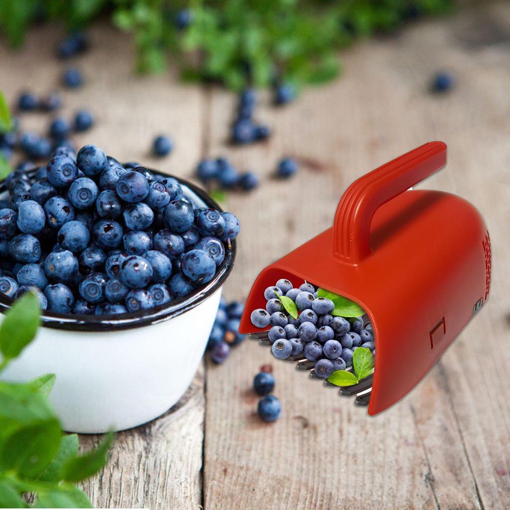 Ergonomic Berry Picker Portable Berry Pick Rake Plastic Handle Picking Tool Blueberry Collection Harvester With Ergonomic Handle
