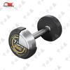 Electroplated Steel Dumbbell Set