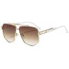Trendy Euro-American Metal Double Bridge Irregular Sunglasses - Stylish, Casual, Versatile Sun Protection