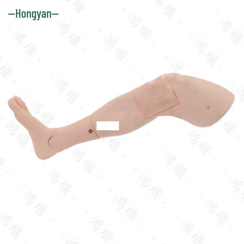 Hongyan Adult Lower Limb Bone Marrow Puncture & Intraosseous Infusion Model