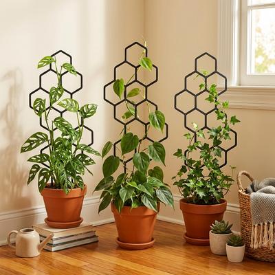 2 st 38x15 cm Honungskaka Växtklätterstöd, Rostbeständigt för Krukväxter & Blommor, Utrymmesbesparande Inomhus/Utomhus Trädgårdsstöd