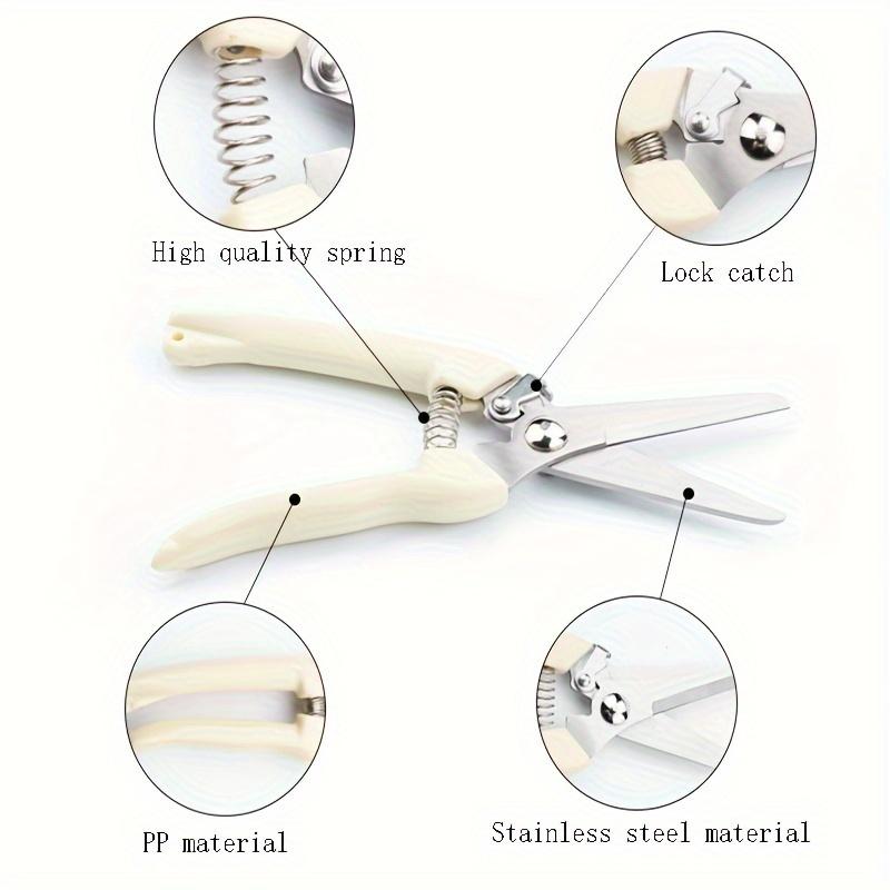 Stainless Steel Scissors Flower Cutting Flower Arrangement Pruning Fruit Tree Garden Branch Cutting Household Grafting