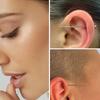 Set di Pinze Strumenti per Piercing Gioielli per il Corpo in Acciaio Inossidabile per Anelli per Orecchio Naso Labbra con Perni a Vite e Senza Filettatura