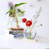 Nordic Wood Art Hydroponic Vase - Pothos Ornament for Living Room & Office Decor