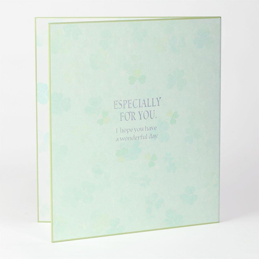 Midori Shikishi Colored Shikishi Bifold Clover Pattern 33140006