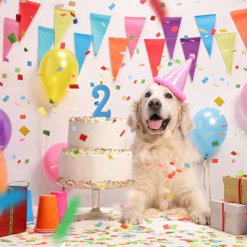 LIKENNY Birthday Number Candles, Numbers 0-9, Set of 10, for Celebrating Birthdays, Weddings, Graduations, and Cake Decorations (Random Colors)