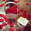 100/200 Piezas Decoración de Flores Pétalos de Rosa Artificiales Fiesta Romántica Decoración del Hogar Día de San Valentín Decoración de Corona de Boda