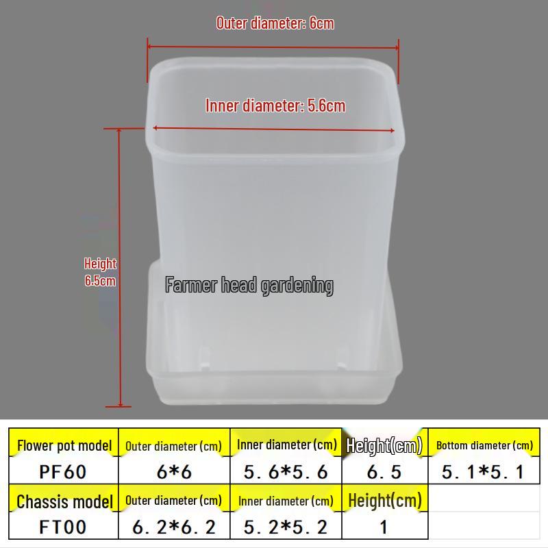 Square Root Control Succulent Pot: Short & Chubby Plastic Flower Pot for Seedlings or Kindergarten Activities