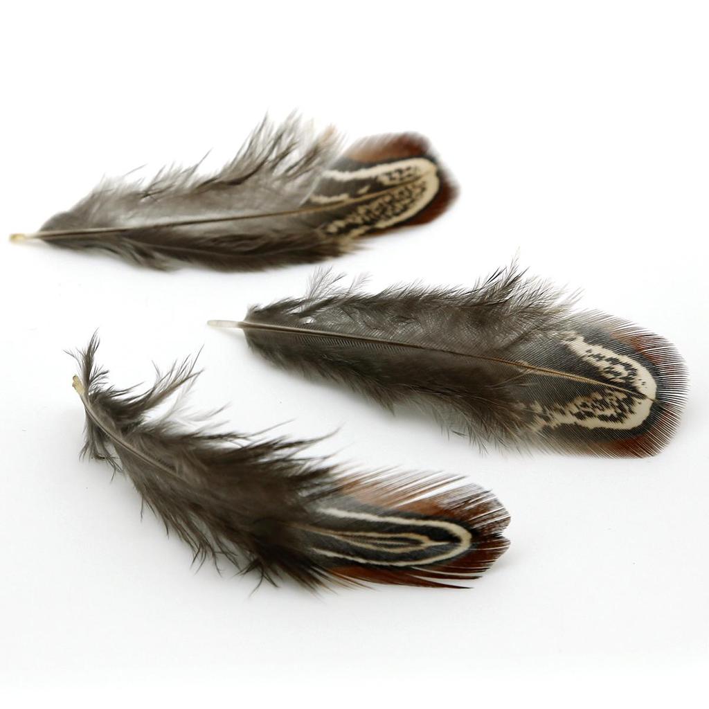 50Pcs 4-8cm Rare Precious DIY Wedding Party Decorative Multi-colour Pheasant Plume Feather Natural Feathers for Home Decoration