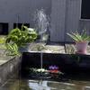 Solar-Powered Floating Bird Bath Fountain with Lights, 16cm, for Pool and Garden Landscapes